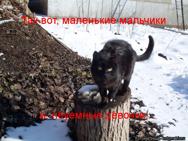 Котоматрица: Так вот, маленькие мальчики и, неуемные девочки...
