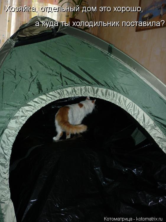 Котоматрица: Хозяйка, отдельный дом это хорошо, а куда ты холодильник поставила?