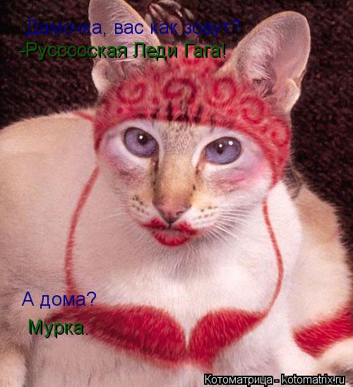Котоматрица: Дамочка, вас как зовут? -Руссссская Леди Гага! А дома? Мурка.