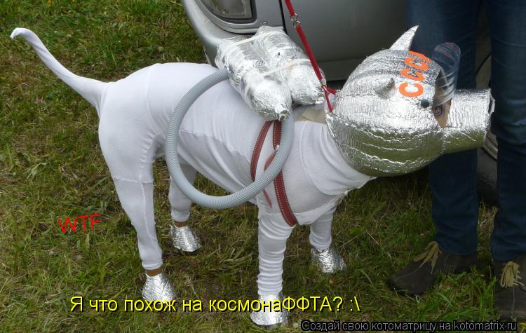 Котоматрица: Я что похож на космонаФФТА? :\ WTF