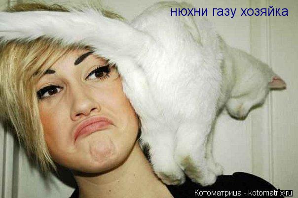 Котоматрица: нюхни газу хозяйка