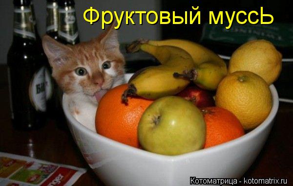 Котоматрица: Фруктовый муссЬ