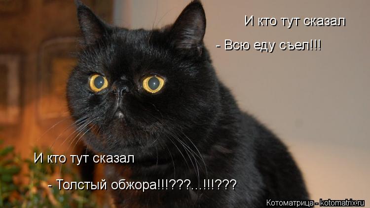 Котоматрица: И кто тут сказал - Всю еду съел!!! И кто тут сказал - Толстый обжора!!!???...!!!???
