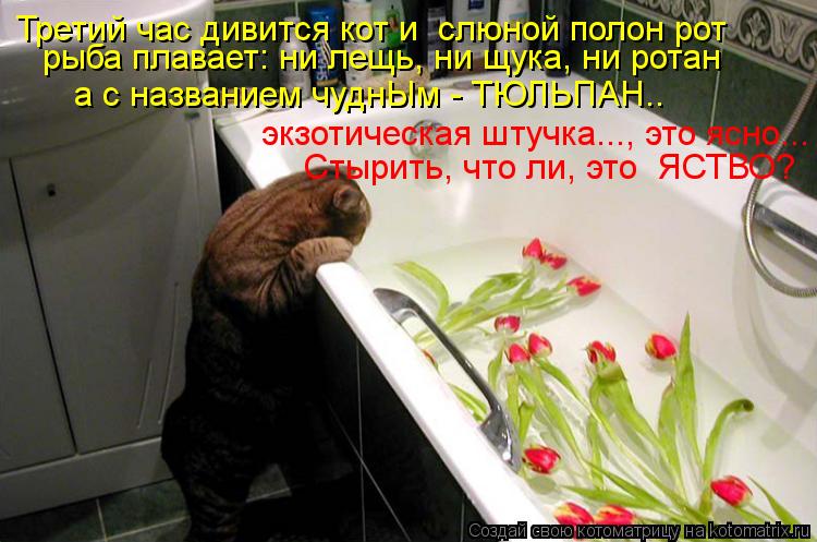Котоматрица: рыба плавает: ни лещь, ни щука, ни ротан   а с названием чуднЫм - ТЮЛЬПАН..  Стырить, что ли, это  ЯСТВО?  экзотическая штучка..., это ясно...  Третий