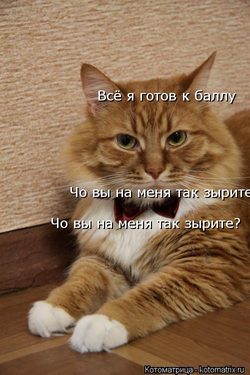 Всё я готов к баллу Чо вы на меня так зырите? Чо вы на меня так зырите?... Котоматрица: Всё я готов к баллу Чо вы на меня так зырите? Чо вы на меня так зырите?