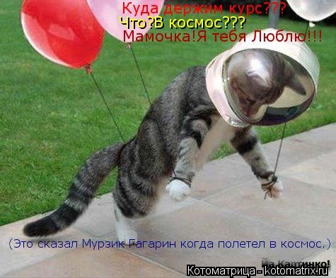Куда держим курс??? Что?В космос??? Мамочка!Я тебя Люблю!!! (Это сказал Мурзик Гагарин когда полетел ... Котоматрица: Куда держим курс??? Что?В космос??? Мамочка!Я тебя Люблю!!! (Это сказал Мурзик Гагарин когда полетел в космос.)