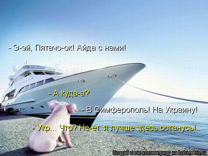 - Э-эй, Пятачо-ок! Айда с нами! - А куда-а? - В Симферополь! На Украину! - Укр... Что? Не-ет, я лучше... Котоматрица: - Э-эй, Пятачо-ок! Айда с нами! - А куда-а? - В Симферополь! На Украину! - Укр... Что? Не-ет, я лучше здесь останусь!..