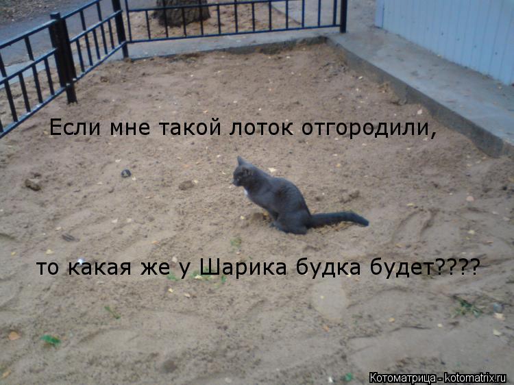 Котоматрица: Если мне такой лоток отгородили, то какая же у Шарика будка будет????