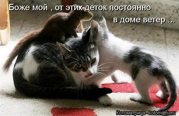 Боже мой , от этих деток постоянно в доме ветер ...... Котоматрица: Боже мой , от этих деток постоянно в доме ветер ...