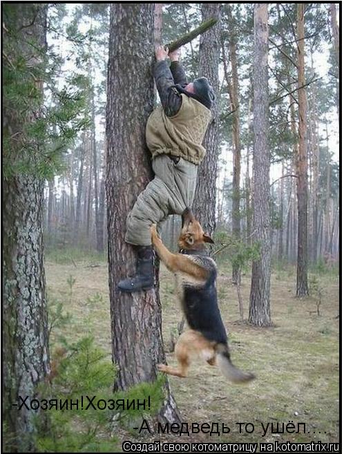 -Хозяин!Хозяин! -А медведь то ушёл....... Котоматрица: -Хозяин!Хозяин! -А медведь то ушёл....