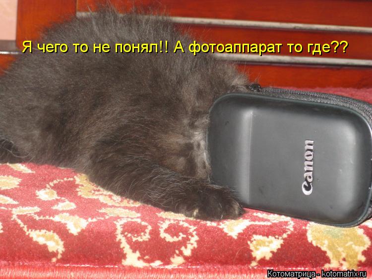 Котоматрица: Я чего то не понял!! А фотоаппарат то где??