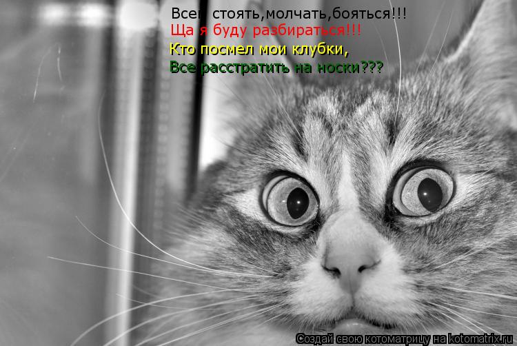 Всем стоять,молчать,бояться!!! Ща я буду разбираться!!! Кто посмел мои клубки, Все расстратить на нос... Котоматрица: Всем стоять,молчать,бояться!!! Ща я буду разбираться!!! Кто посмел мои клубки, Все расстратить на носки???