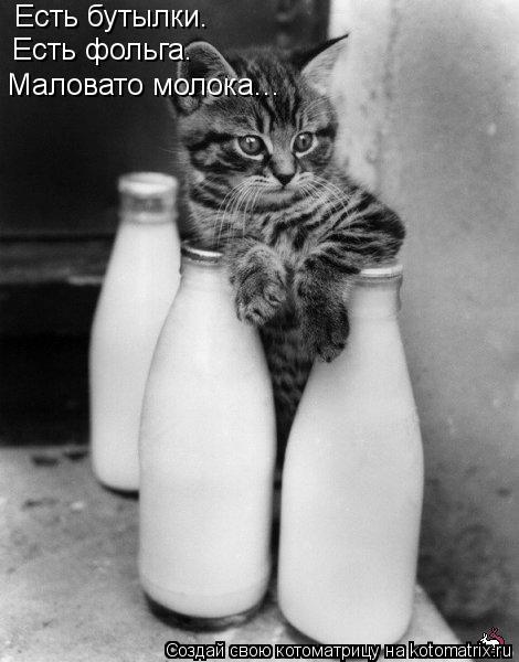 Есть бутылки. Есть фольга. Маловато молока...... Котоматрица: Есть бутылки. Есть фольга. Маловато молока...