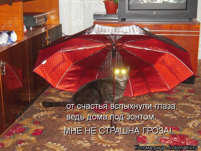 Котоматрица: от счастья вспыхнули глаза, ведь дома,под зонтом МНЕ НЕ СТРАШНА ГРОЗА!