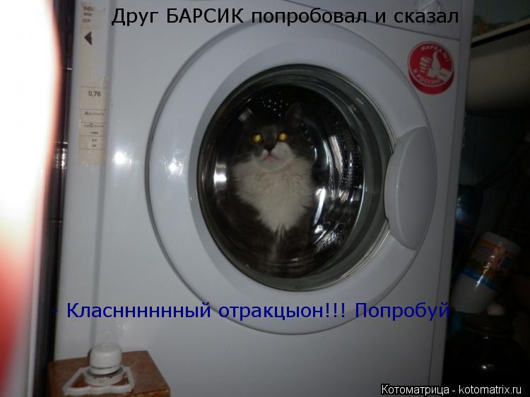 Друг БАРСИК попробовал и сказал - Класнннннный отракцыон!!! Попробуй... Котоматрица: Друг БАРСИК попробовал и сказал - Класнннннный отракцыон!!! Попробуй