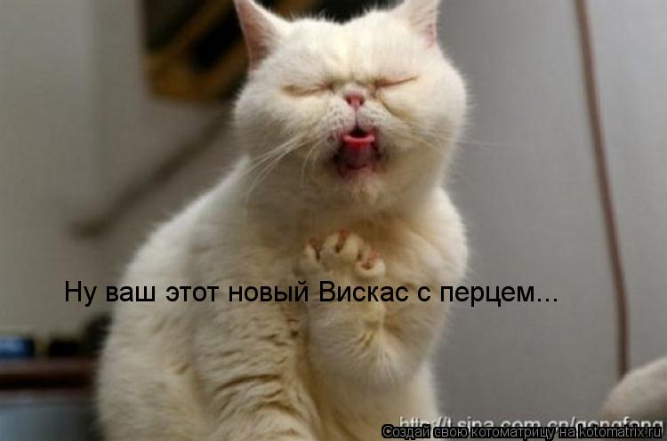 Ну ваш этот новый Вискас с перцем...... Котоматрица: Ну ваш этот новый Вискас с перцем...