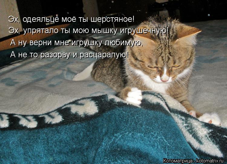 Эх, одеяльце моё ты шерстяное! Эх, упрятало ты мою мышку игрушечную! А ну верни мне игрушку любимую, ... Котоматрица: Эх, одеяльце моё ты шерстяное! Эх, упрятало ты мою мышку игрушечную! А ну верни мне игрушку любимую, А не то разорву и расцарапую!