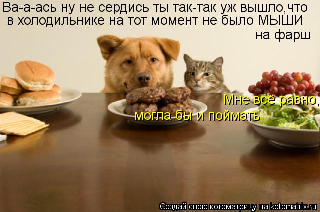 Мне всё равно,могла бы и ПОЙМАТЬ! в холодильнике на тот момент не было МЫШИ Ва-а-ась ну не сердись т... Котоматрица: Мне всё равно,могла бы и ПОЙМАТЬ! в холодильнике на тот момент не было МЫШИ Ва-а-ась ну не сердись ты так-так уж вышло,что на фарш могла бы и п