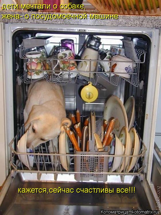 Котоматрица: дети мечтали о собаке, жена- о посудомоечной машине кажется,сейчас счастливы все!!!