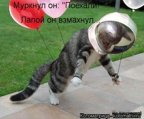 Муркнул он: "Поехали!" Лапой он взмахнул...... Котоматрица: Муркнул он: "Поехали!" Лапой он взмахнул...