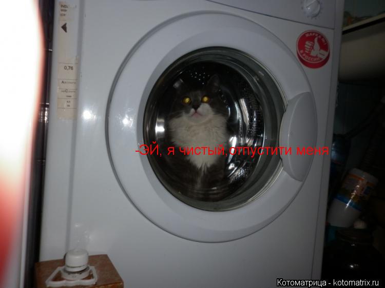 -ЭЙ, я чистый,отпустити меня... Котоматрица: -ЭЙ, я чистый,отпустити меня