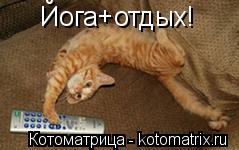 Йога+отдых!... Котоматрица: Йога+отдых!