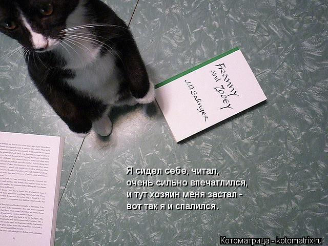 Котоматрица: Я сидел себе, читал, очень сильно впечатлился, и тут хозяин меня застал - вот так я и спалился.