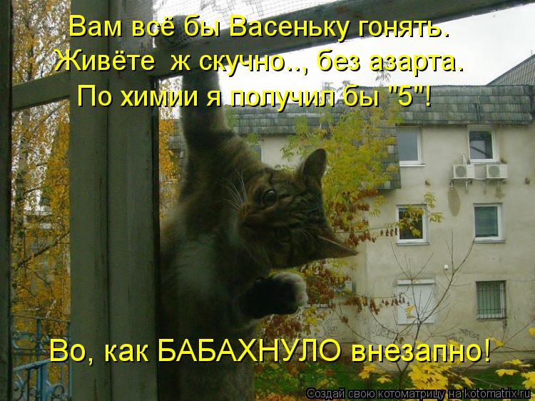 Живёте ж скучно.., без азарта. По химии я получил бы "5"! Во, как БАБАХНУЛО внезапно! Вам всё бы Вас... Котоматрица: Живёте ж скучно.., без азарта. По химии я получил бы "5"! Во, как БАБАХНУЛО внезапно! Вам всё бы Васеньку гонять.