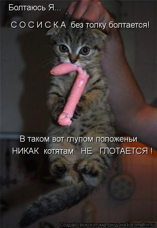 Котоматрица: В таком вот глупом положеньи Болтаюсь Я... С О С И С К А  без толку болтается! НИКАК  котятам   НЕ   ГЛОТАЕТСЯ !