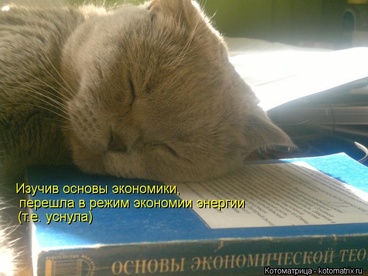 Котоматрица: Изучив основы экономики, перешла в режим экономии энергии (т.е. уснула)