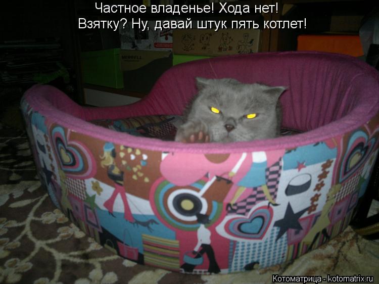 Частное владенье! Хода нет! Взятку? Ну, давай штук пять котлет!... Котоматрица: Частное владенье! Хода нет! Взятку? Ну, давай штук пять котлет!