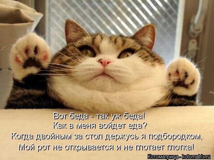 Котоматрица: Вот беда - так уж беда! Как в меня войдет еда? Когда двойным за стол держусь я подбородком, Мой рот не открывается и не глотает глотка!