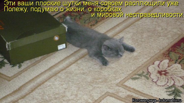 Котоматрица: Эти ваши плоские шутки меня совсем расплющили уже Полежу, подумаю о жизни, о коробках  и мировой несправедливости.