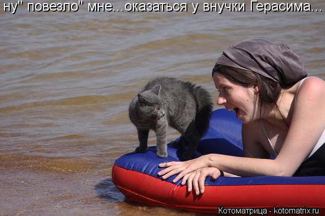 ну" повезло" мне...оказаться у внучки Герасима...... Котоматрица: ну" повезло" мне...оказаться у внучки Герасима...