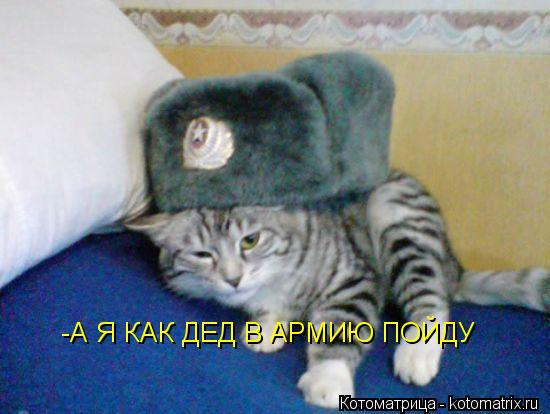 -А Я КАК ДЕД В АРМИЮ ПОЙДУ... Котоматрица: -А Я КАК ДЕД В АРМИЮ ПОЙДУ
