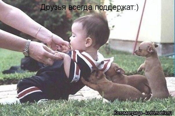 Котоматрица: Друзья всегда поддержат:)
