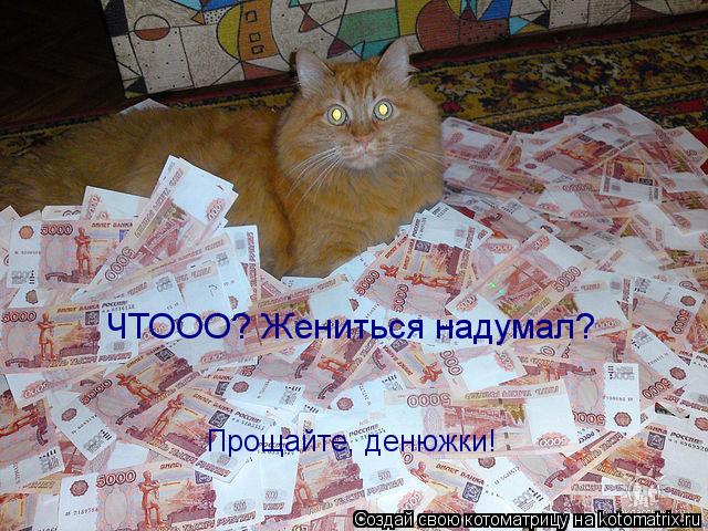 ЧТООО? Жениться надумал? Прощайте, денюжки!... Котоматрица: ЧТООО? Жениться надумал? Прощайте, денюжки!