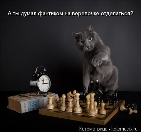 А ты думал фантиком на веревочке отделаться?... Котоматрица: А ты думал фантиком на веревочке отделаться?