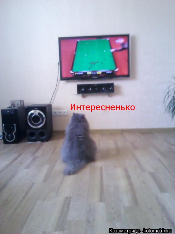 Интересненько... Котоматрица: Интересненько