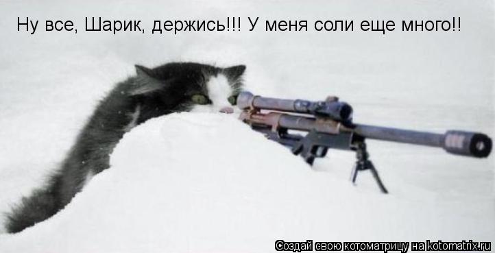 Ну все, Шарик, держись!!! У меня соли еще много!!... Котоматрица: Ну все, Шарик, держись!!! У меня соли еще много!!