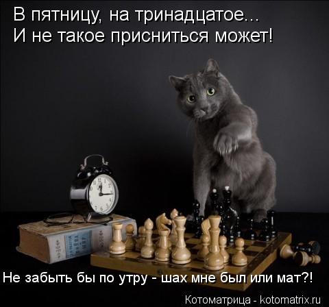 В пятницу, на тринадцатое... И не такое присниться может! Не забыть бы по утру - шах мне был или мат?... Котоматрица: В пятницу, на тринадцатое... И не такое присниться может! Не забыть бы по утру - шах мне был или мат?!