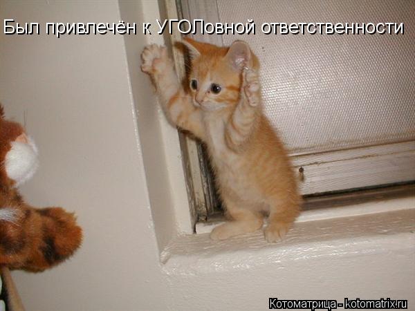 Был привлечён к УГОЛовной ответственности... Котоматрица: Был привлечён к УГОЛовной ответственности