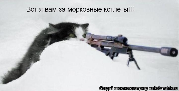 Вот я вам за морковные котлеты!!!... Котоматрица: Вот я вам за морковные котлеты!!!