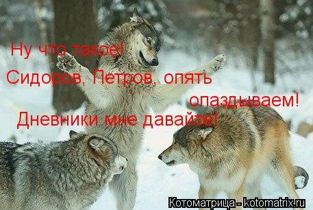 Сидоров, Петров, опять Ну что такое! опаздываем! Дневники мне давайте!... Котоматрица: Сидоров, Петров, опять Ну что такое! опаздываем! Дневники мне давайте!