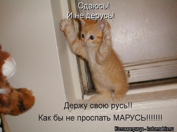 Сдаюсь! И не дерусь! Держу свою русь!! Как бы не проспать МАРУСЬ!!!!!!!... Котоматрица: Сдаюсь! И не дерусь! Держу свою русь!! Как бы не проспать МАРУСЬ!!!!!!!