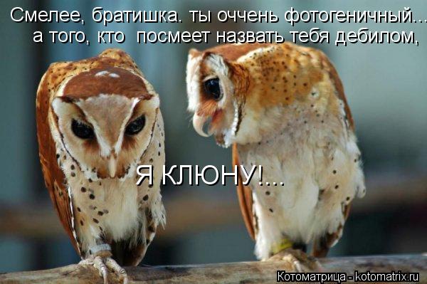 Котоматрица: Смелее, братишка. ты оччень фотогеничный...  а того, кто  посмеет назвать тебя дебилом,   Я КЛЮНУ!...