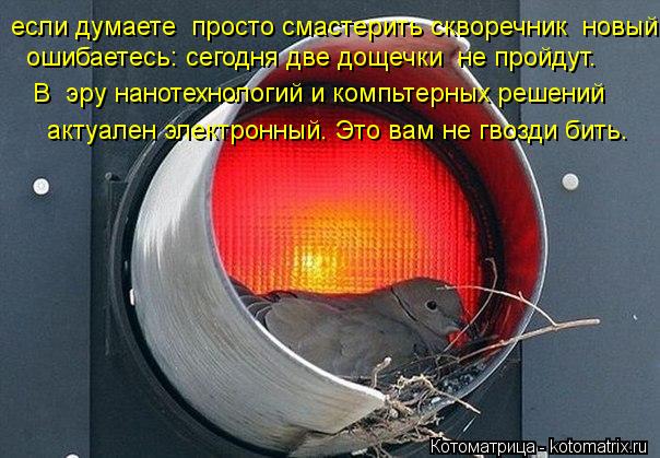 Котоматрица: если думаете  просто смастерить скворечник  новый,   ошибаетесь: сегодня две дощечки  не пройдут.   В  эру нанотехнологий и компьтерных решен