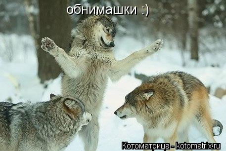 Котоматрица: обнимашки :)
