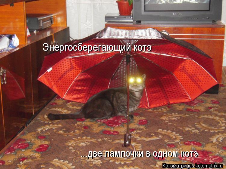 ...две лампочки в одном котэ Энергосберегающий котэ... Котоматрица: ...две лампочки в одном котэ Энергосберегающий котэ
