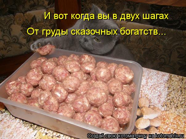 И вот когда вы в двух шагах От груды сказочных богатств...... Котоматрица: И вот когда вы в двух шагах От груды сказочных богатств...